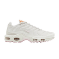 Nike Air Max Plus Vast Grey Metallic Copper (Women's)