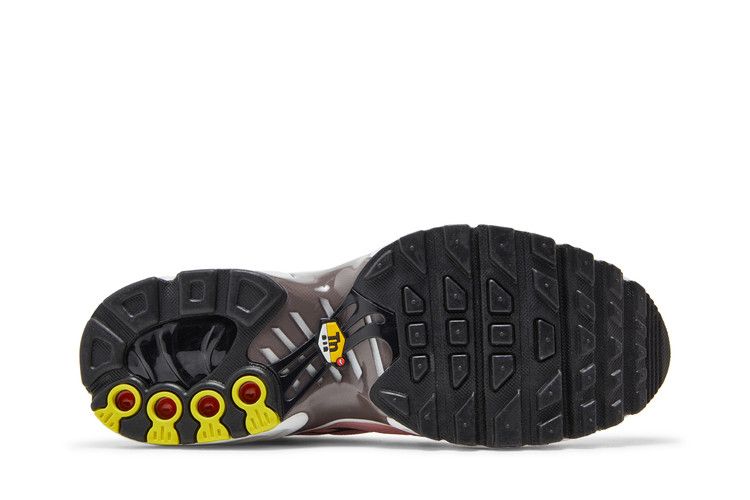Nike Air Max Plus Pink Glaze (GS)