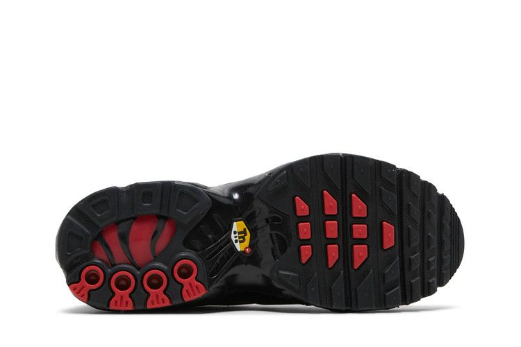 Nike Air Max Plus Black University Red Reflective Silver (GS)
