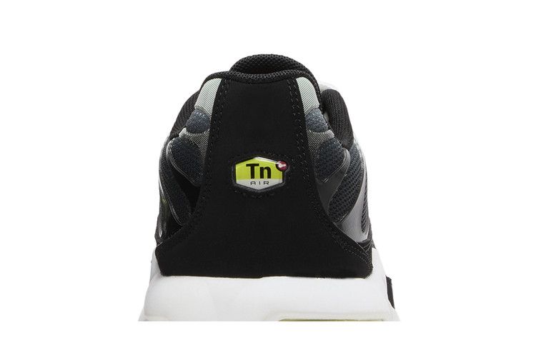 Nike Air Max Plus Black Bright Cactus (GS)