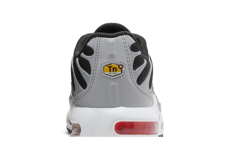 Nike Air Max Plus Dark Smoke Grey (GS)
