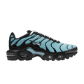 Nike Air Max Plus Aqua Black White Metallic Silver (GS)